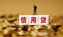 成都短借哪有个人借贷-成都短借小额贷款公司-成都短借私借空放免费上门